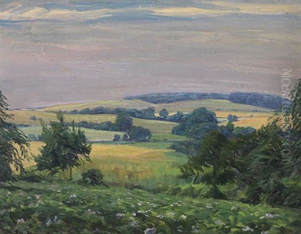 Norddeutsche Hugellandschaft - view 1