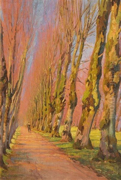 Alley In Early Spring - view 1