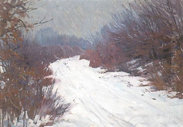 Kleinborstel Im Schnee - view 1