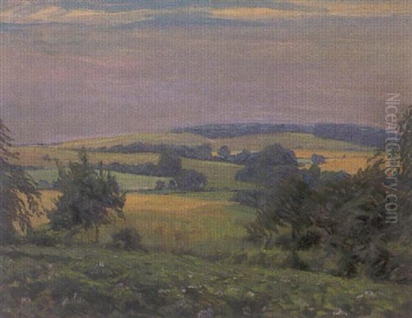 Abendstimmung Holsteinische Schweiz (malente) - view 1