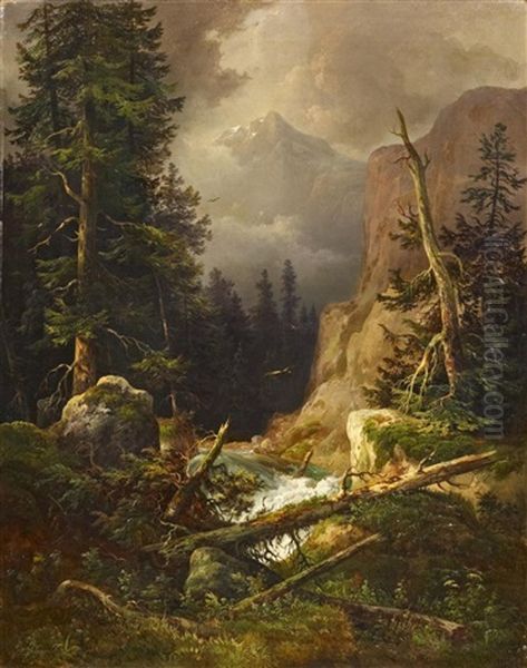 Wildbachtal In Den Alpen - view 1