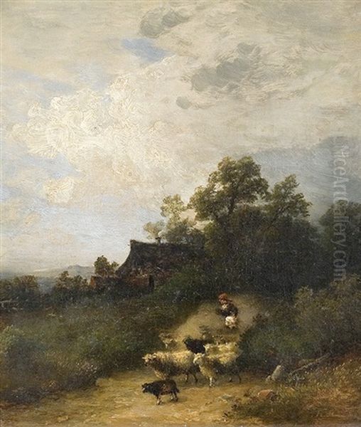 With The Sheeps Outside The Yard - view 1