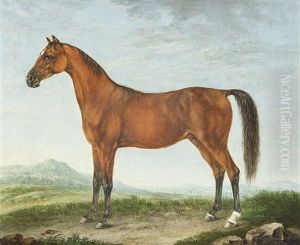 Portrat Eines Araberpferdes by Johann Friedrich Steinkopf