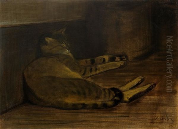 Recumbent Cat - view 1