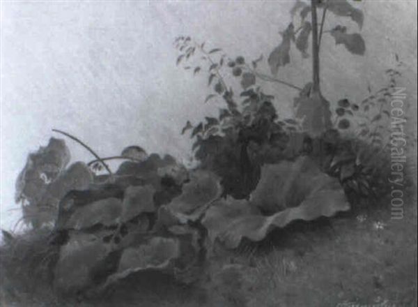 Wiesenstuck - view 1