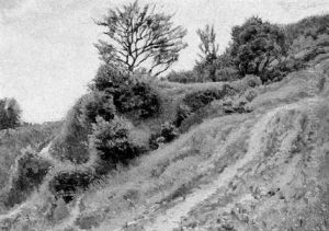 Berweg In Der Wachau