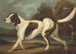 A Gundog In A Landscape by Charles Branscombe
