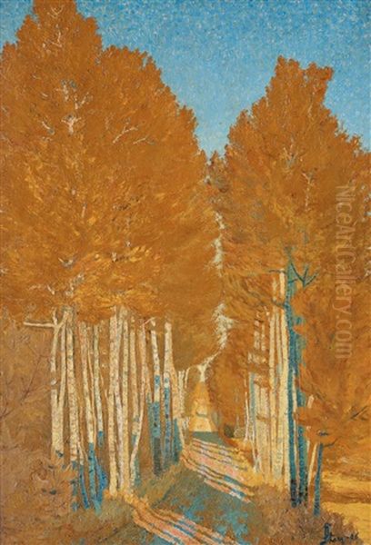 Landscape - view 1