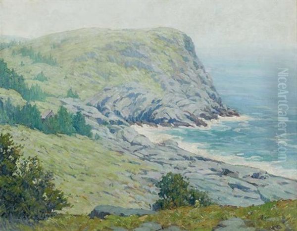 Whitehead, Monhegan - view 1