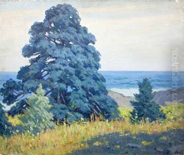 Pine Tree, Monhegan - view 1