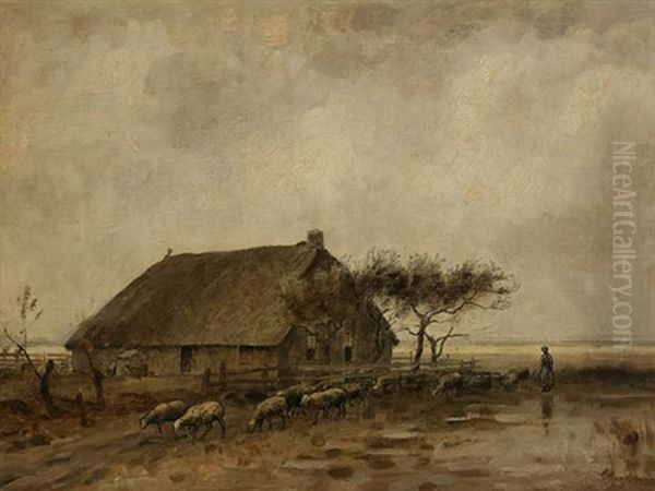 Paysage Drenthois - view 1
