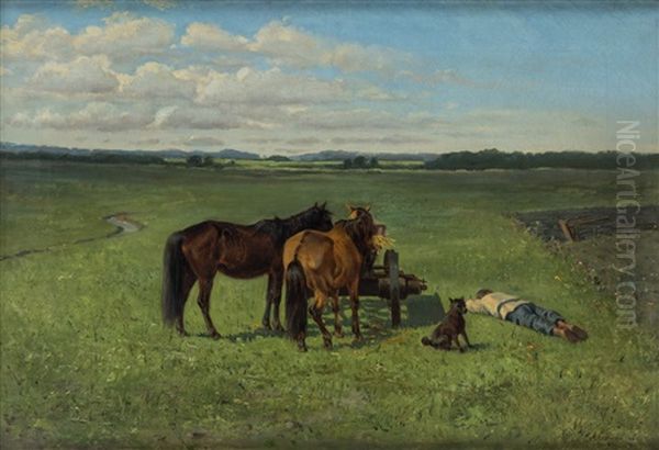 Rest In The Field - view 1