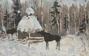 A Grazing Moose In The North