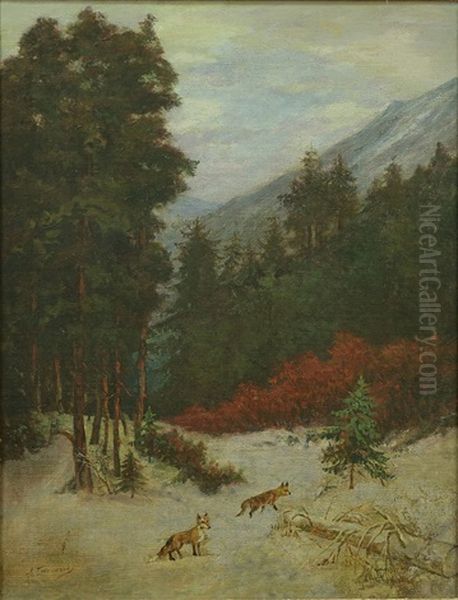 Two Foxes In The Forest - view 1