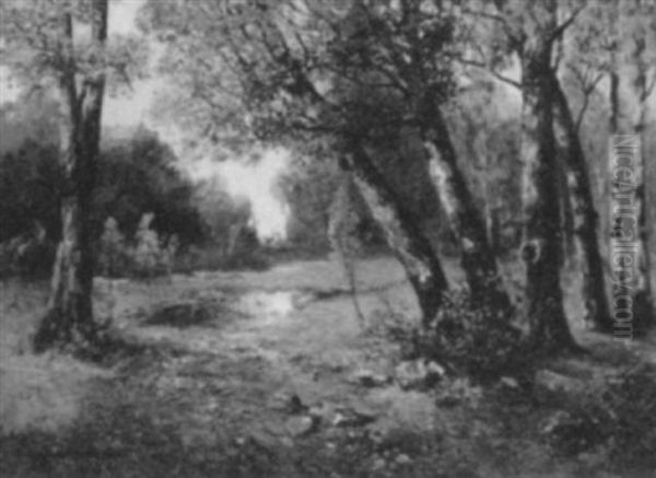 Autumn Landscape - view 1