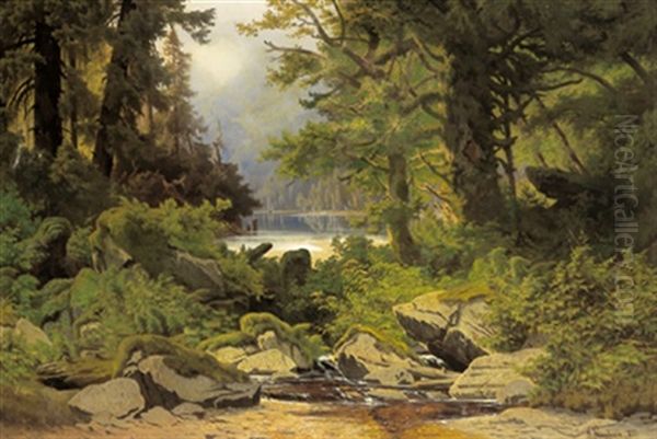 Eine Waldlandschaft Mit Gebirgsbach - view 1