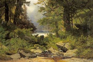 Eine Waldlandschaft Mit Gebirgsbach Eine Waldlandschaft Mit Gebirgsbach