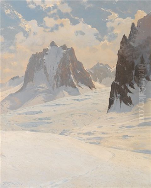 View Of Mont Blanc - view 1