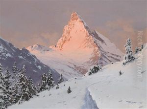 Silvretta (litzer Seehorn) (?) Silvretta (litzer Seehorn) (?)