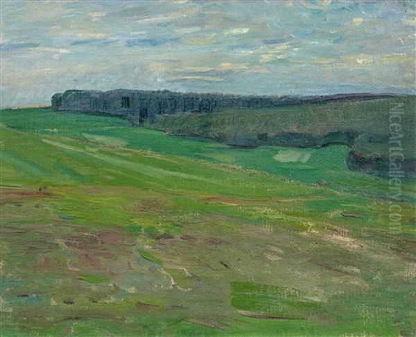 Hessische Waldlandschaft - view 1