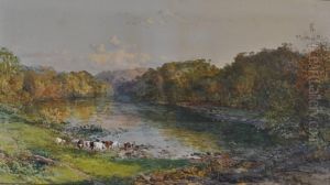 Cattle In Extensiveriver Landscape by Charles Brooke Branwhite