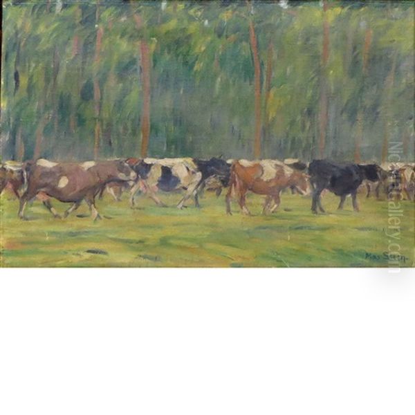 Cows - view 1