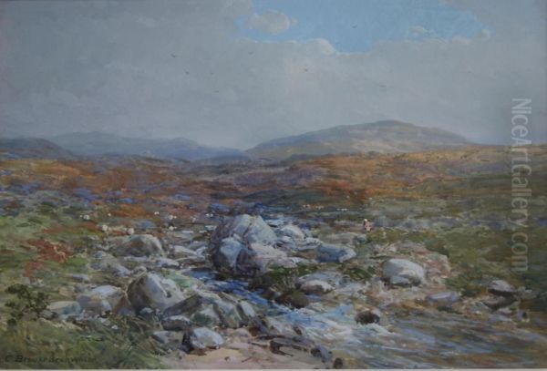 Scene On Dartmoor - view 1