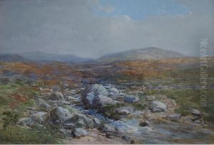 Scene On Dartmoor