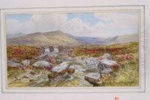 Extensive Moorland Landscape by Charles Branwhite