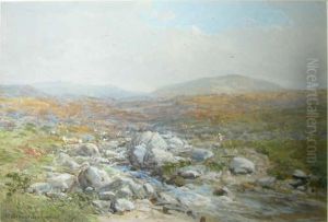 A Summer's Day Over Dartmoor