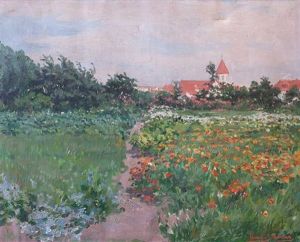 Campo Con Flores Campo Con Flores