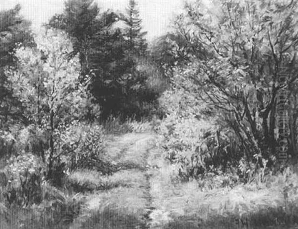 Path Through Delano Park - view 1