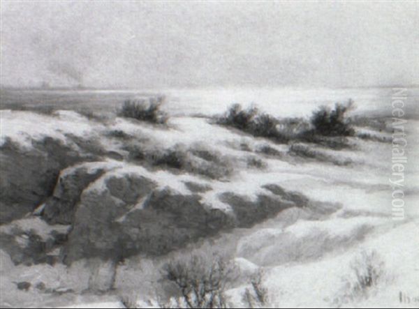Coastal Snow - view 1