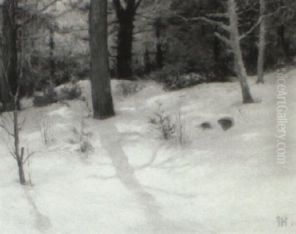 Woods In Snow - view 1