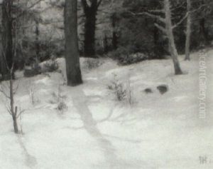 Woods In Snow by John Calvin Stevens