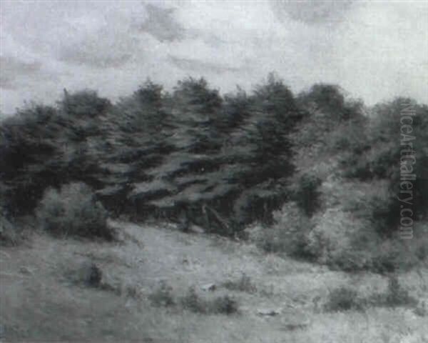Summer Landscape - view 1