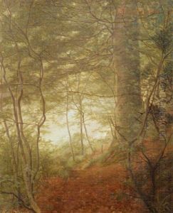 Woodlands by Rene Stevens