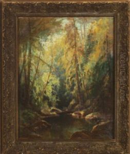 Stream In Deep Woods
