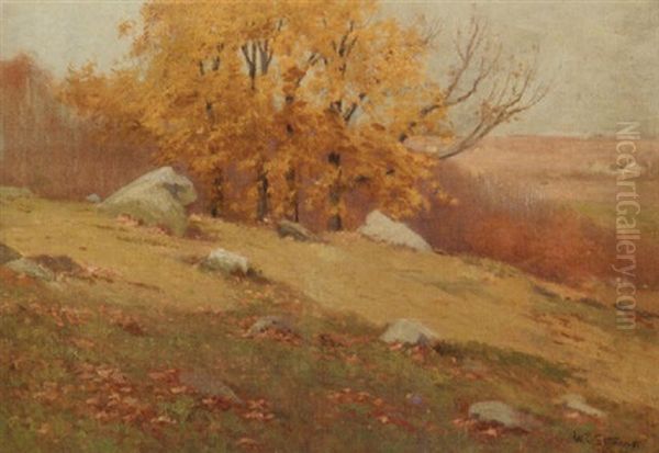 Sunny Hill In Autumn - view 1