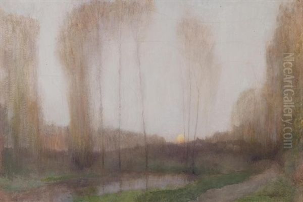 Silver Birch Trees - view 1