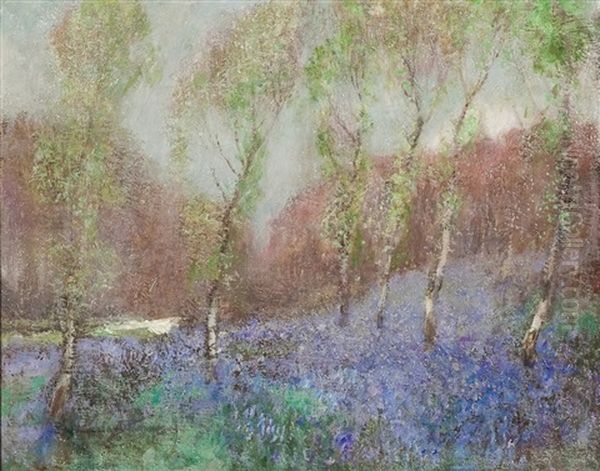 Bluebells - view 1