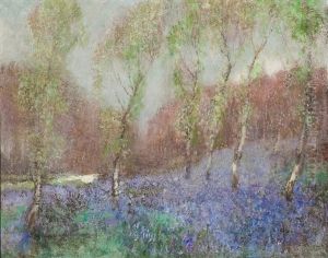 Bluebells Bluebells