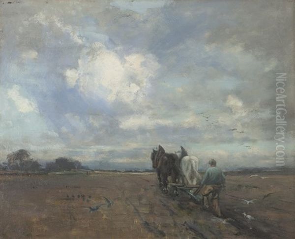 Cattle Ploughing - view 1