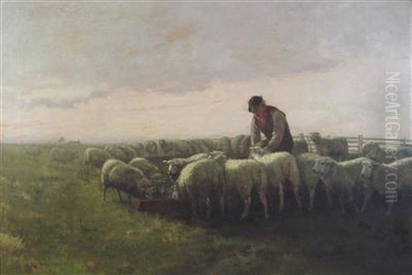 The Shepherd - view 1
