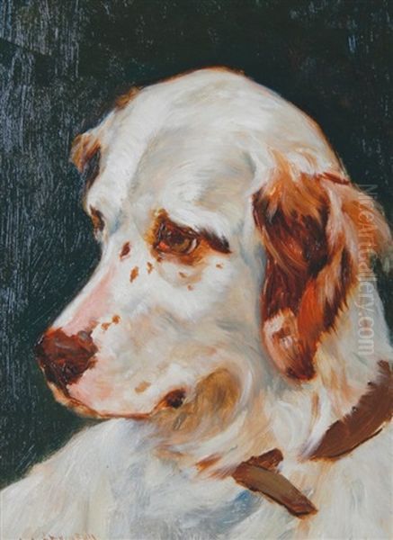 Study Of A Dog's Head - view 1