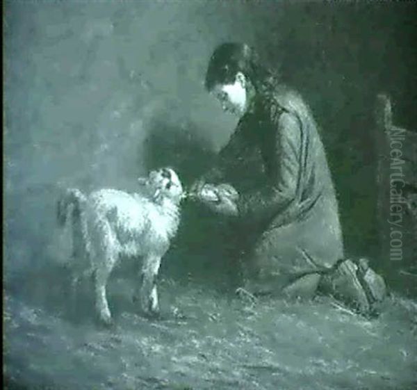 Feeding A Pet Lamb - view 1