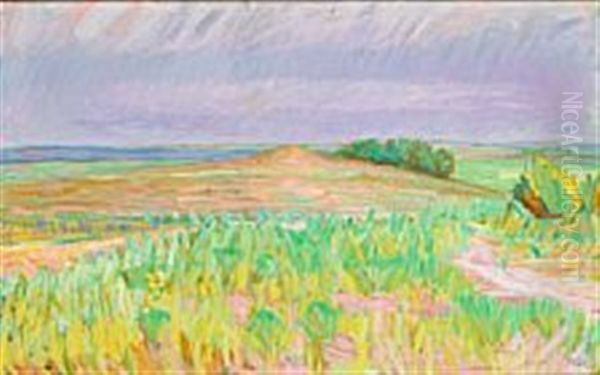 Landskab Ved Bautahojen - view 1