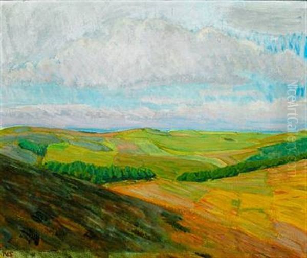 Sidelys Fra Siden Af Bavnehoj - view 1
