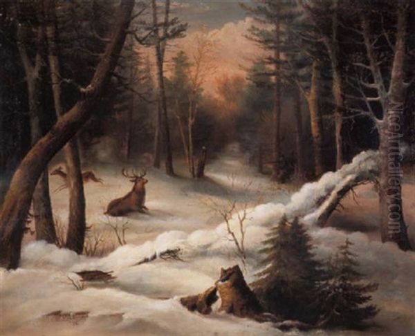 Maine Deer Country - view 1
