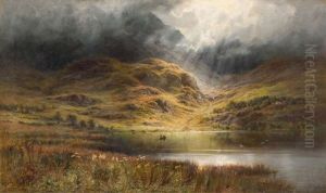 Nature by Charles Stewart